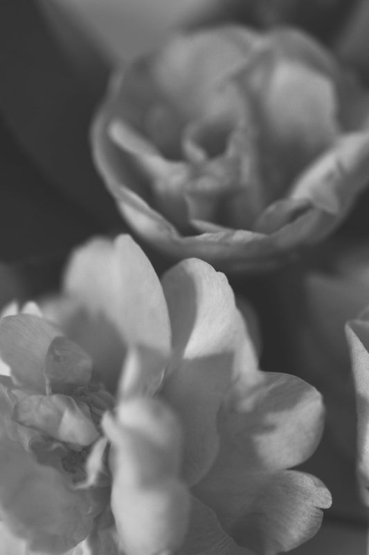 What We Grow Through