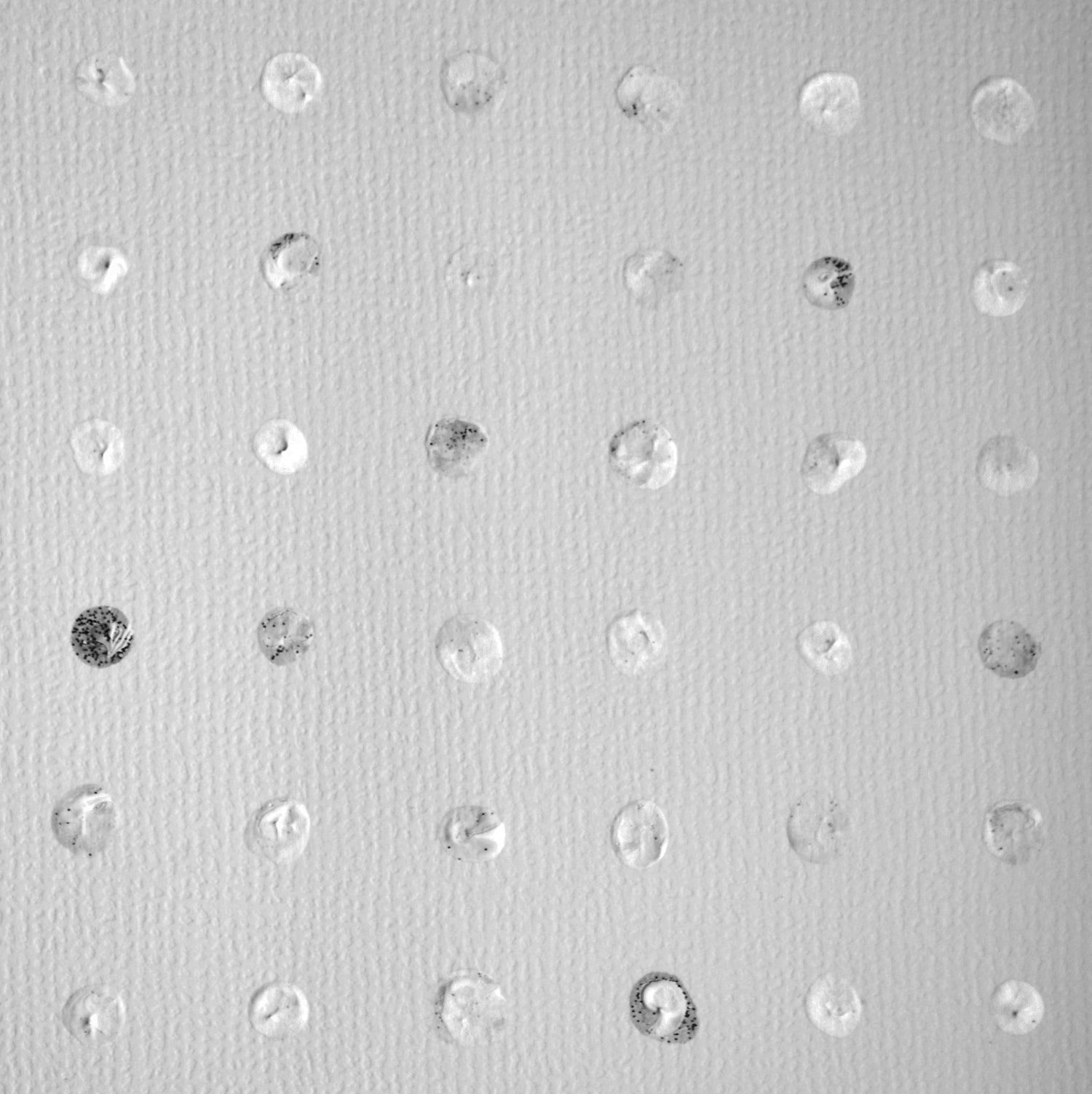 White on white dots as expression of modern aboriginal art